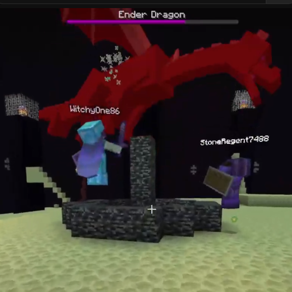 MadMiners fighting the ender dragon during the big Dragon Marathon